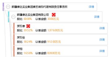 新疆康達(dá)實(shí)業(yè)集團(tuán)康藝商標(biāo)代理有限責(zé)任事務(wù)所 專業(yè)工商事務(wù)代理服務(wù)